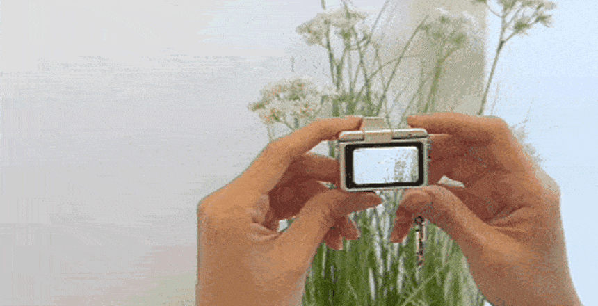 F120260330152728.gif